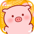 美食家小猪的大冒险手机版下载-美食家小猪的大冒险安卓版下载 v1.0